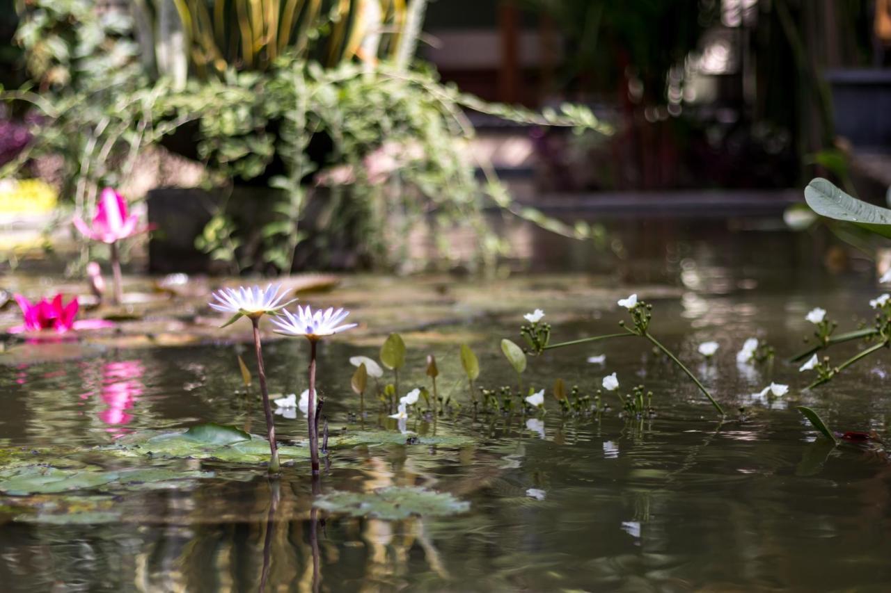 Hotel Hidden Padma Retreat Ubud Exterior foto